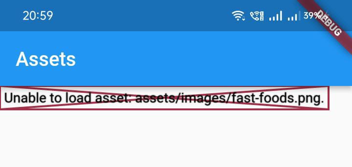 unable to load asset flutter